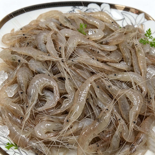 Frozen Fresh River Shrimp